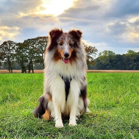 Wreecher Idyll 3 Barrierefreies Fuer Bis Zu 4 Gaeste Hunde Erlaubt * 푸트버스